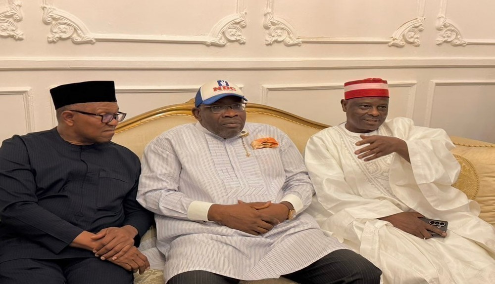 Obi, Kwankwaso Officially Join Nigeria Democratic Congress