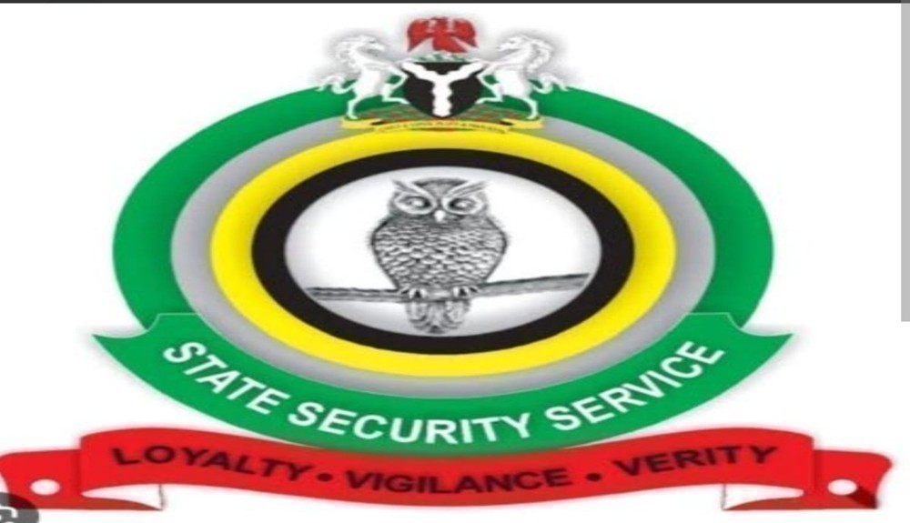 DSS Denies Arrest of Writer Okey Ndibe, Says Airport Stop Was Routine Watchlist Review