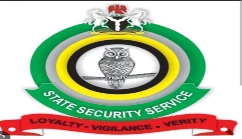 DSS Denies Arrest of Writer Okey Ndibe, Says Airport Stop Was Routine Watchlist Review