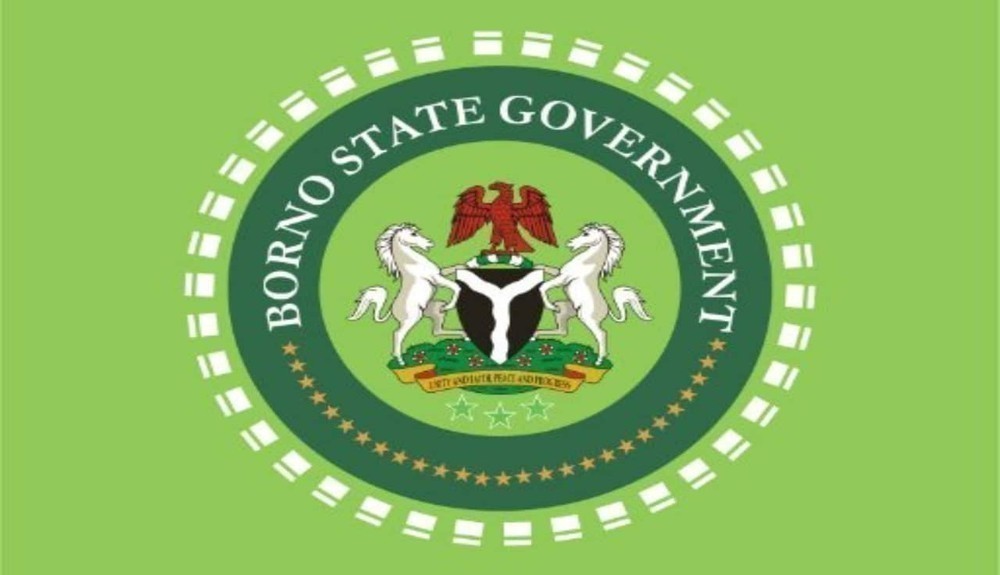 Borno Government Says 360 Abductees Rescued in Military Operation, Denies Ransom Claims