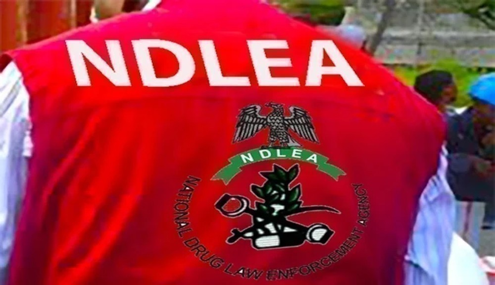 NDLEA Takes Custody of 6,778.5kg of Canadian Loud Seized at Lagos Port