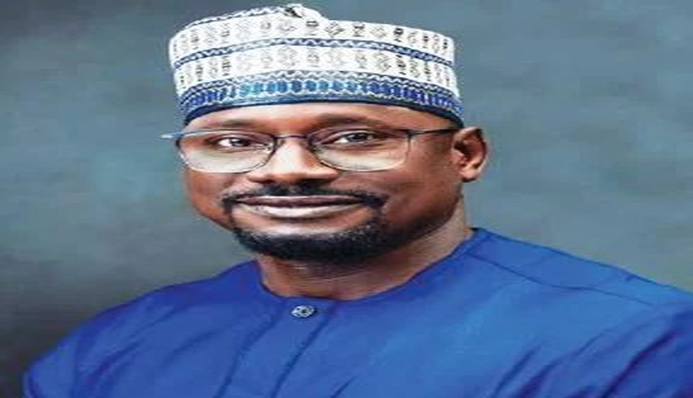 Nigeria Needs $23bn to Fix Power Sector, Says REA Boss