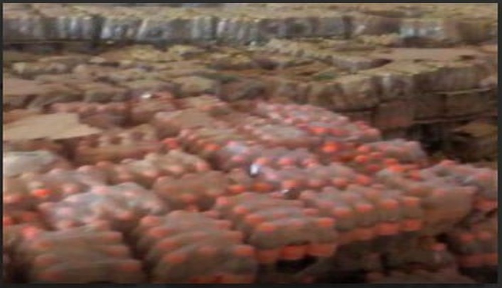 NAFDAC seals 18 Niger warehouses over N100m expired products